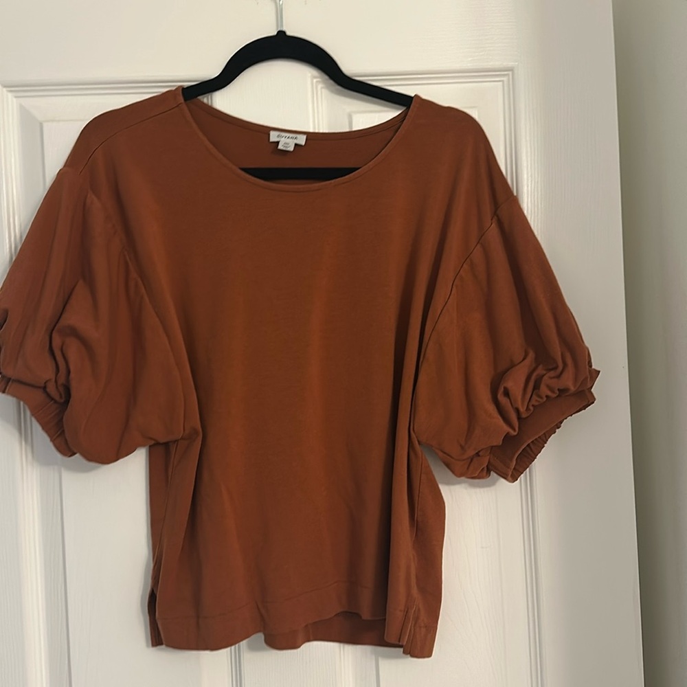 Cuyana Burnt Orange Sz M puffed Sleeve Cropped Tee